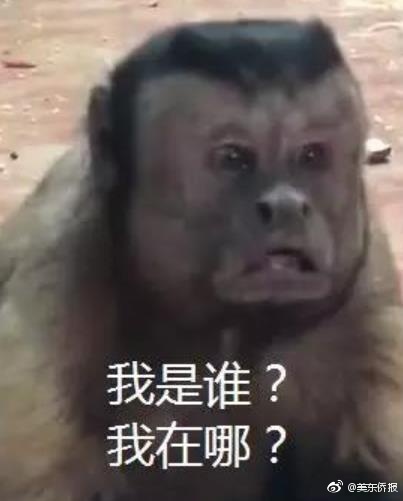 朝鲜Free性Videohd