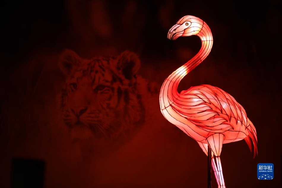刺激 性爱 片