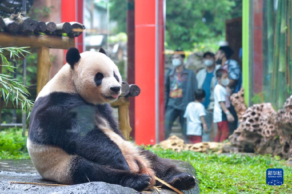 台灣模特兒性愛