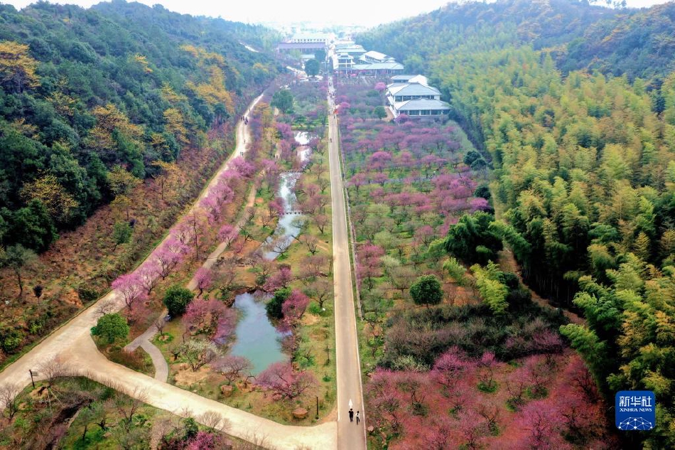 搞机time直接打开极速不需要登录