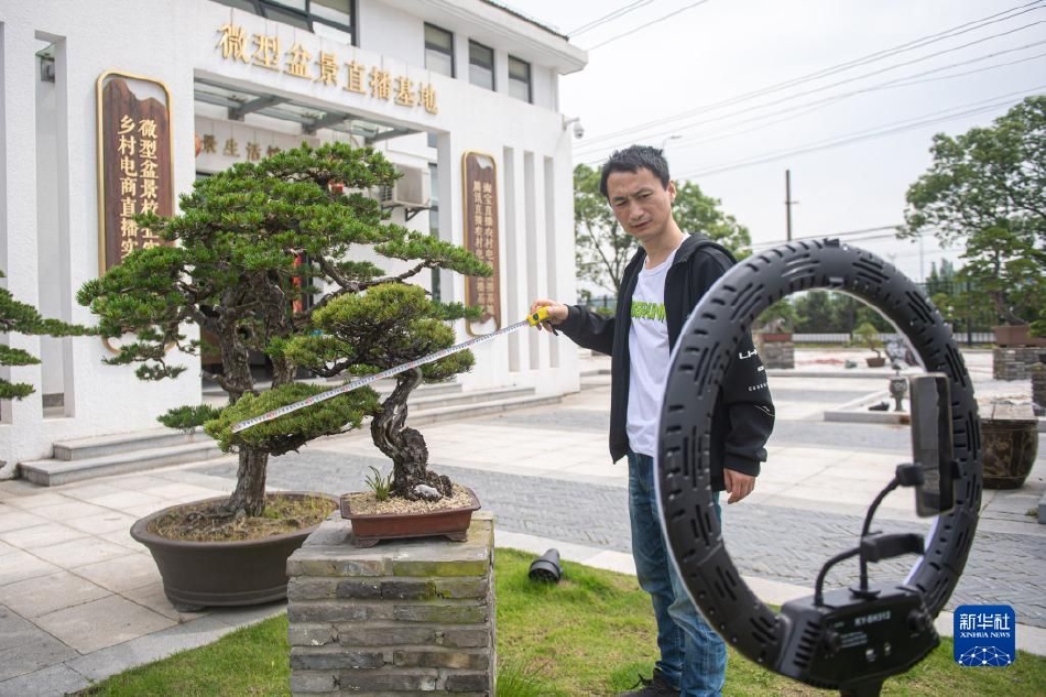 强奸模拟器