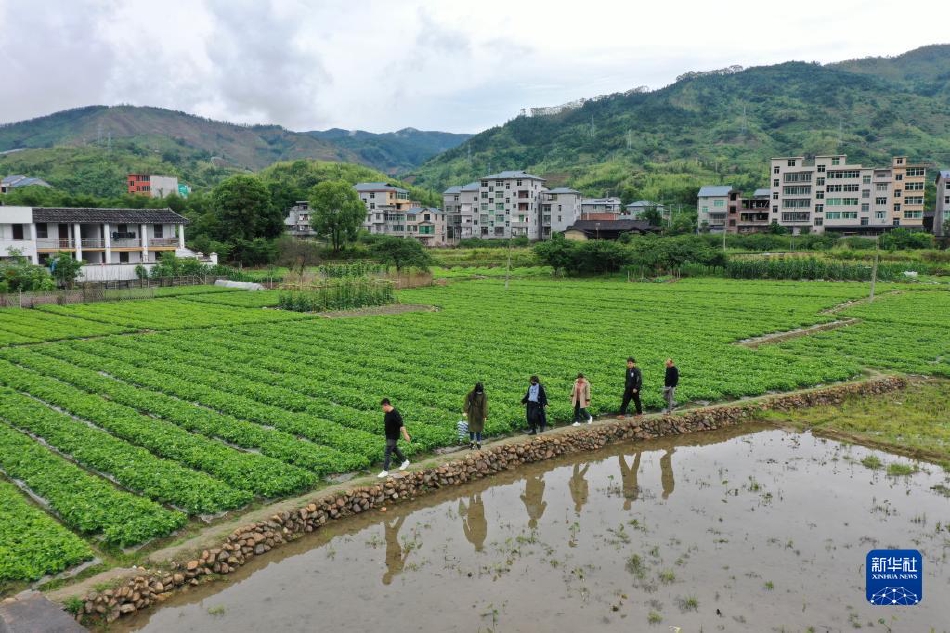 萨里谈尤文财政造假案：之前沙龙恳求咱们帮忙，咱们容许了