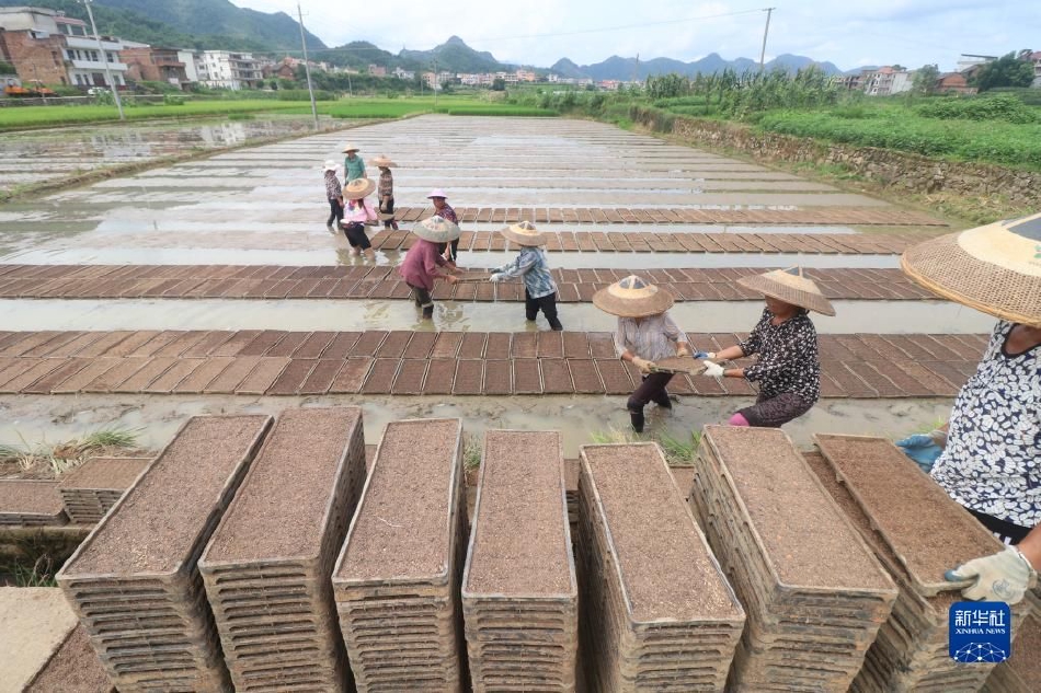 靠逼软件免费下载