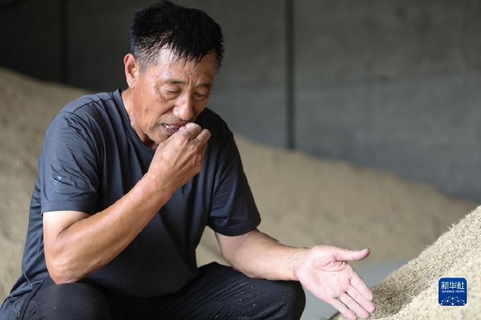 现在的黄色网站