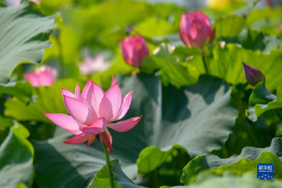 欧美暖暖视频三级片