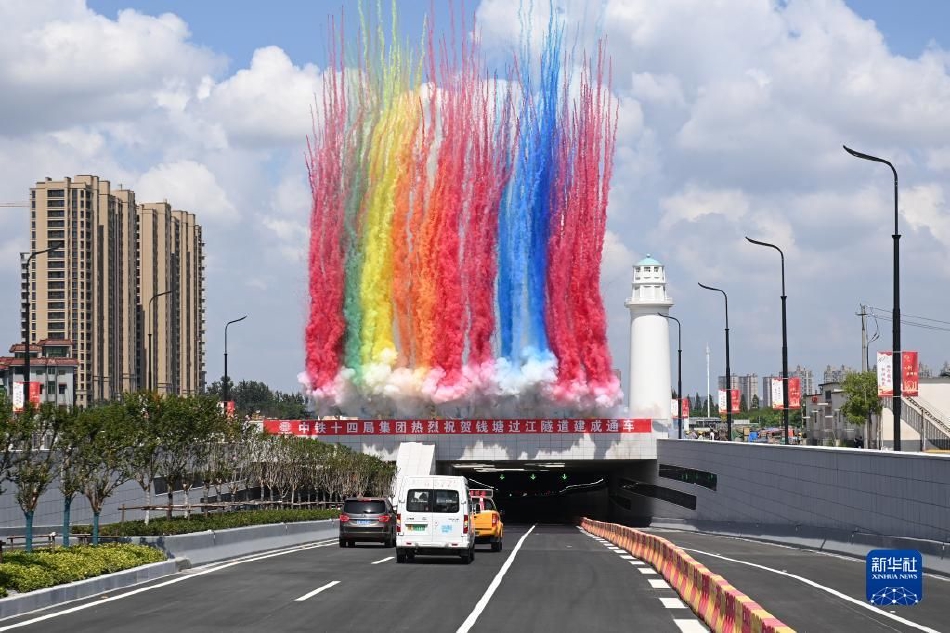 台灣大胸部