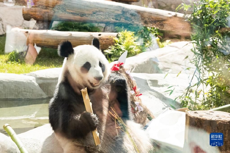 操逼片中国的