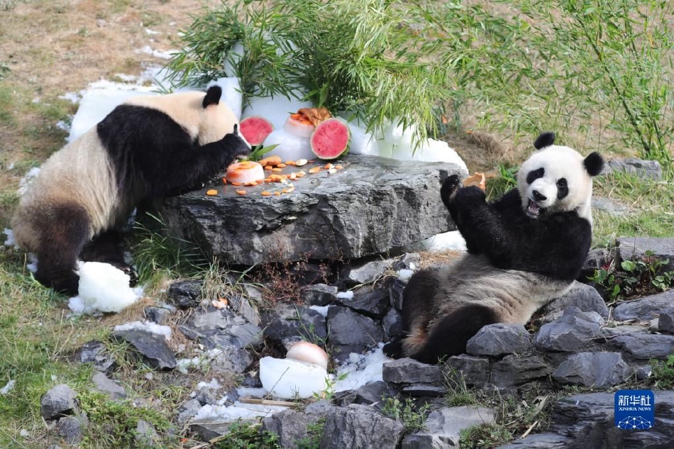 那个网站能看免费黄色视频
