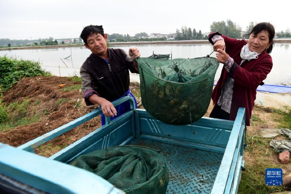 不用登录在线免费观看黄色视频