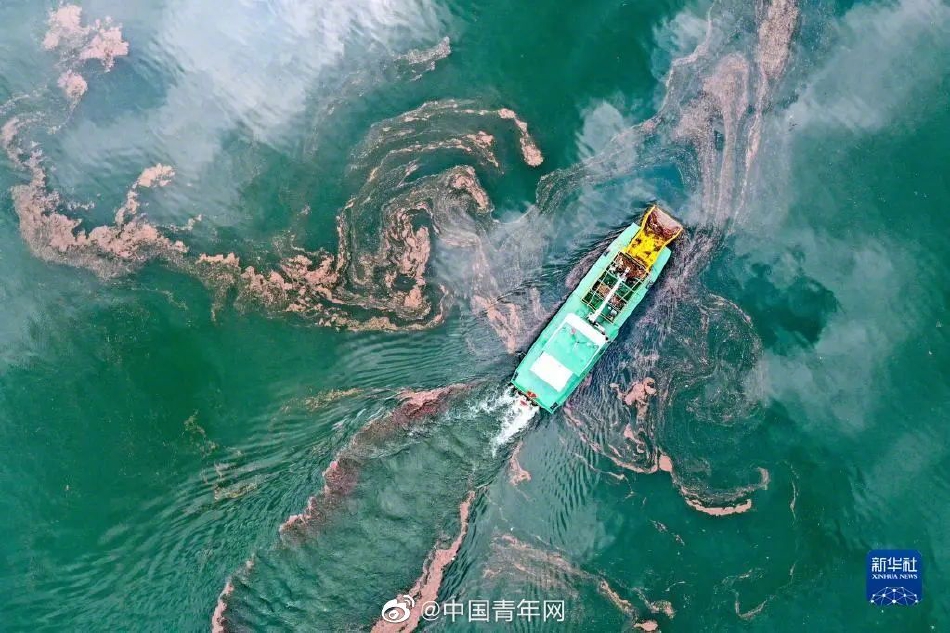 巨胸自慰网站
