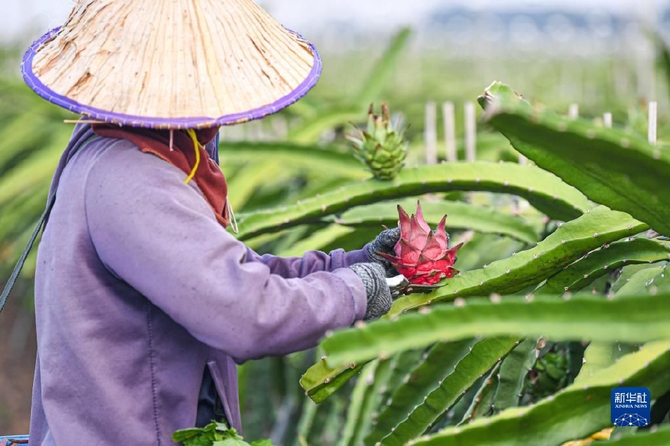 父子亂倫