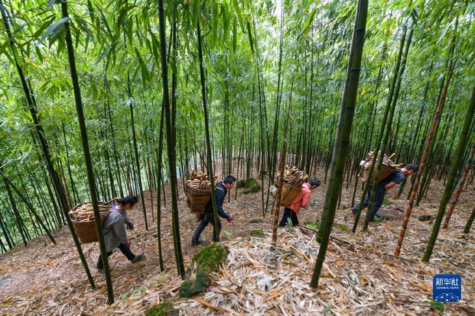 天堂亚洲