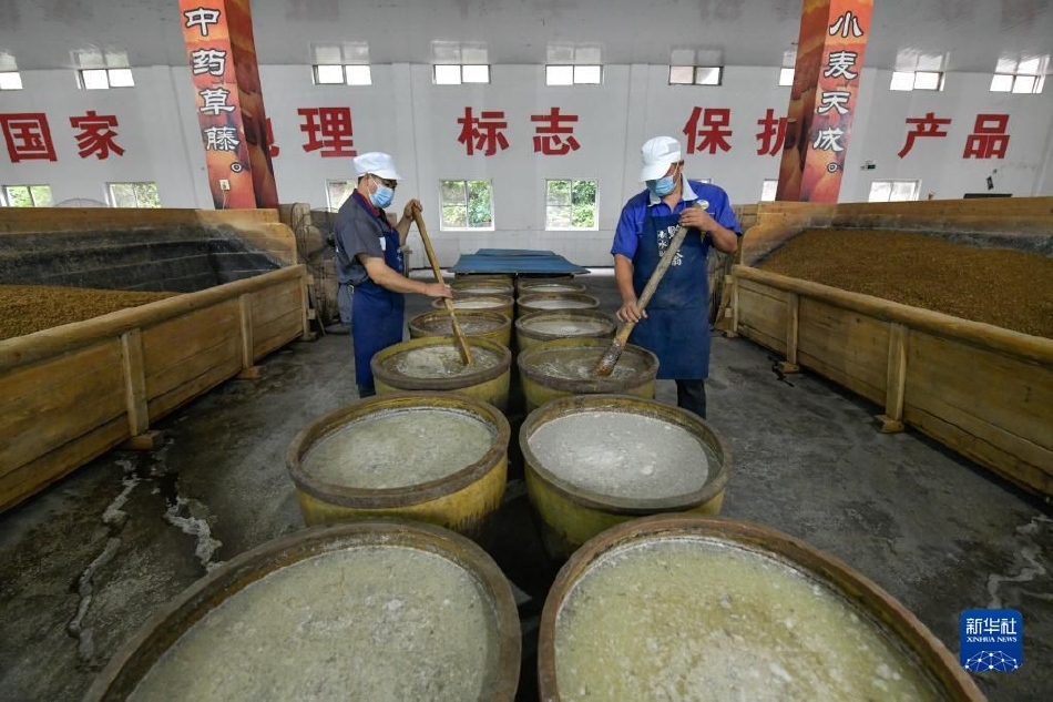 黑料爆料一区二区三区