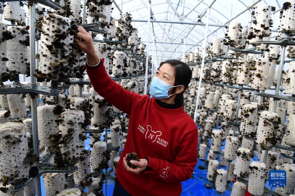 男生和女生一起拆拆拆很痛的轮滑鞋