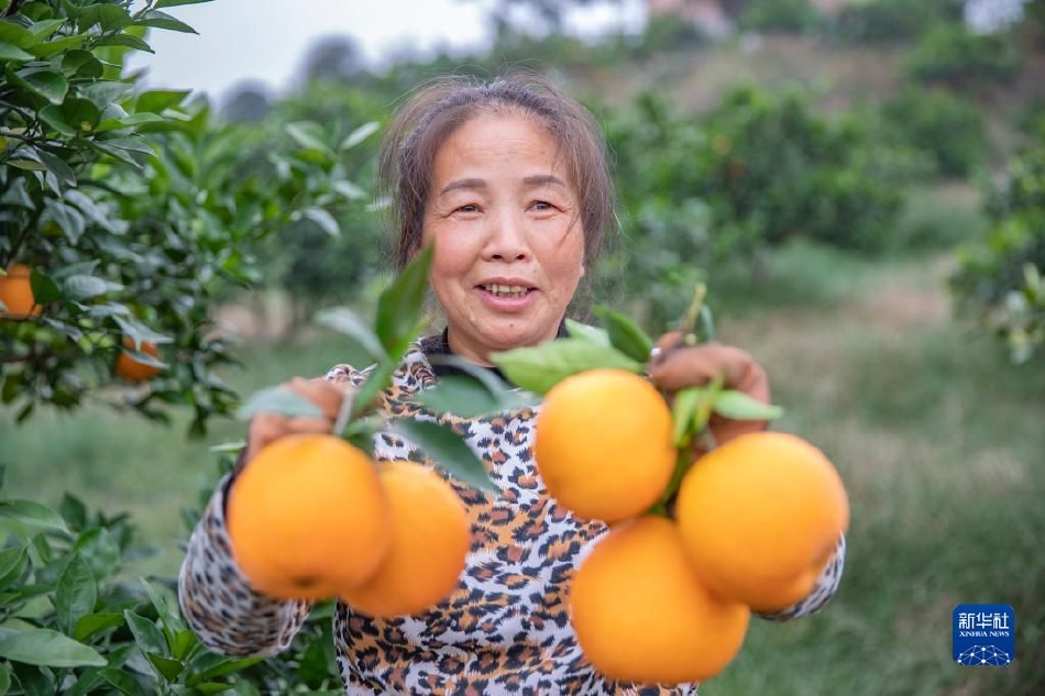 女女蕾丝边一区二区三区