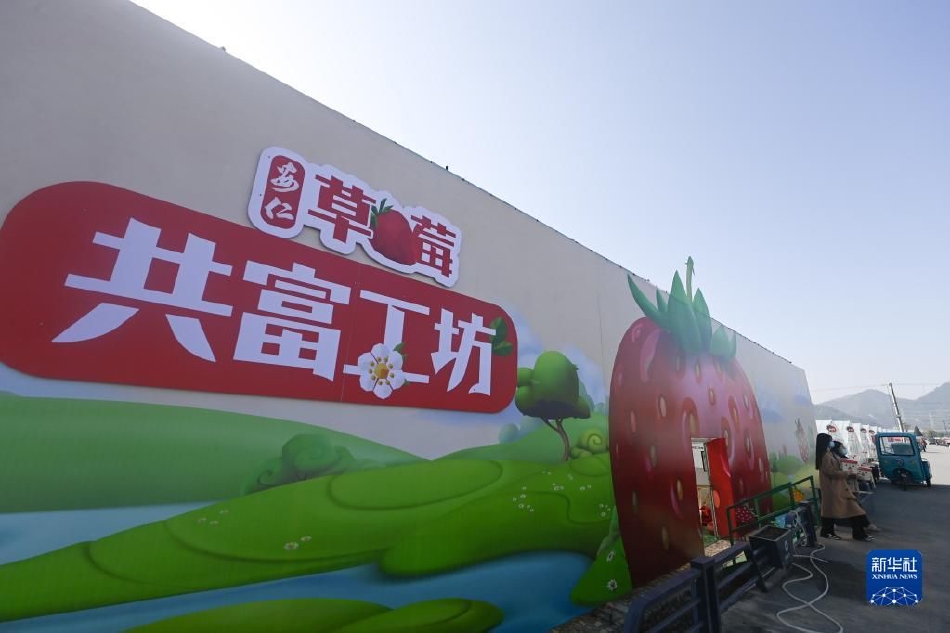 厨房掀开馊了裙子挺进去电影