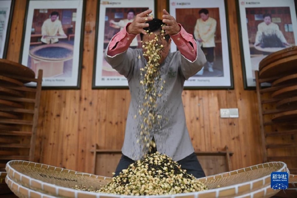 天天摸天天爽