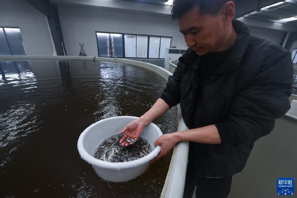 国精产品2024偷拍偷拍