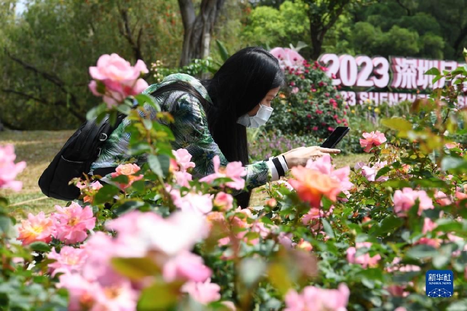绅士ACE游戏安卓汉化像素风格