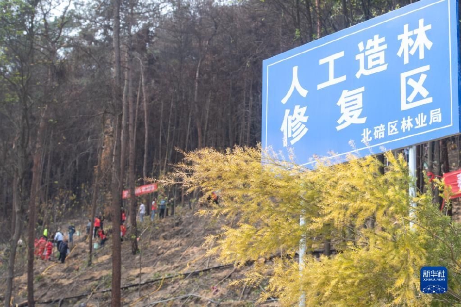老太色HD老年人HD
