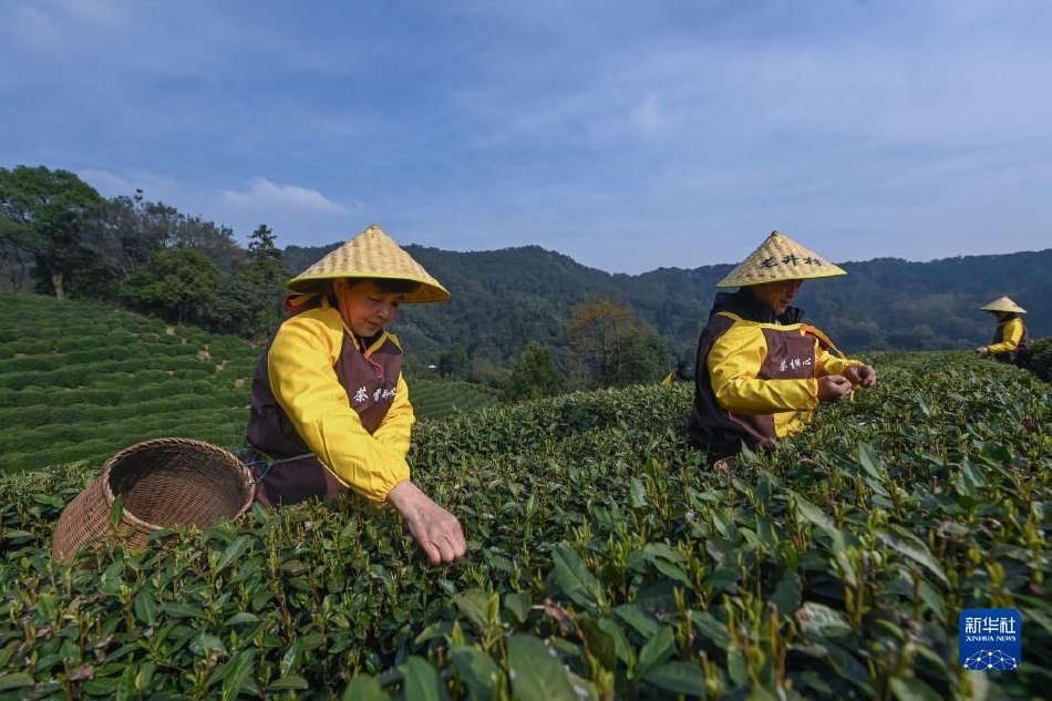 两对夫妇同床交换Hd
