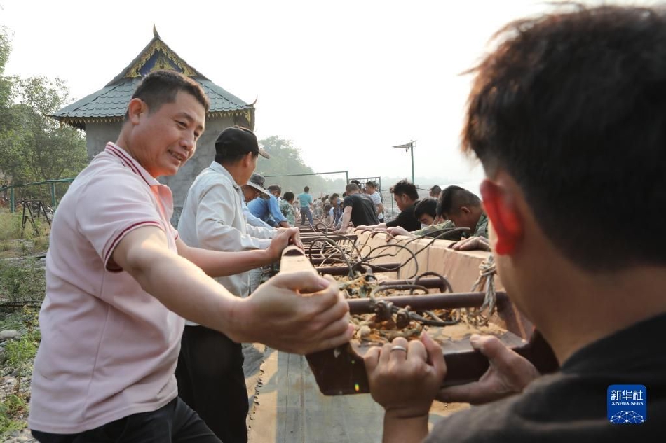 色情 免费 在线