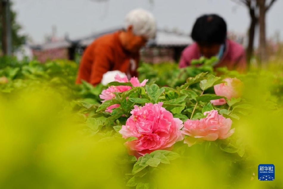 丝袜脚 好紧 老师别夹视