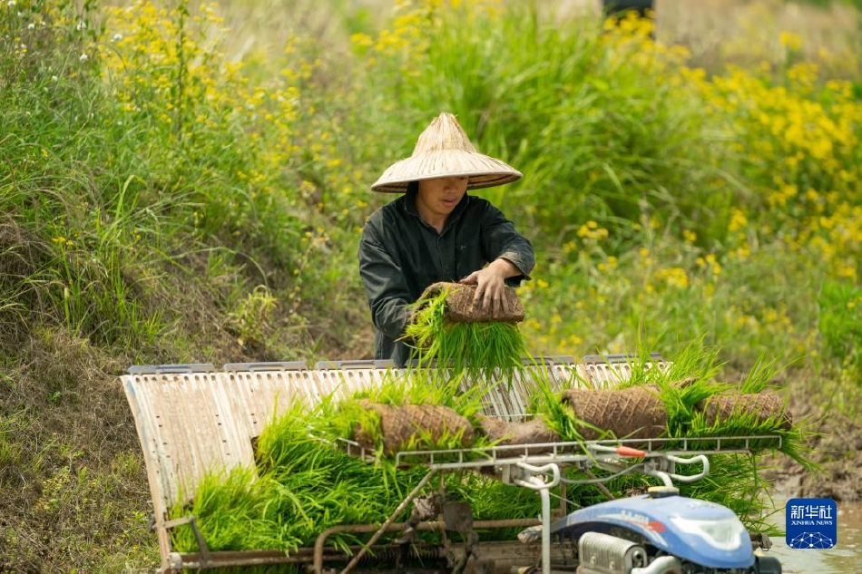 成年人看的三级片视频