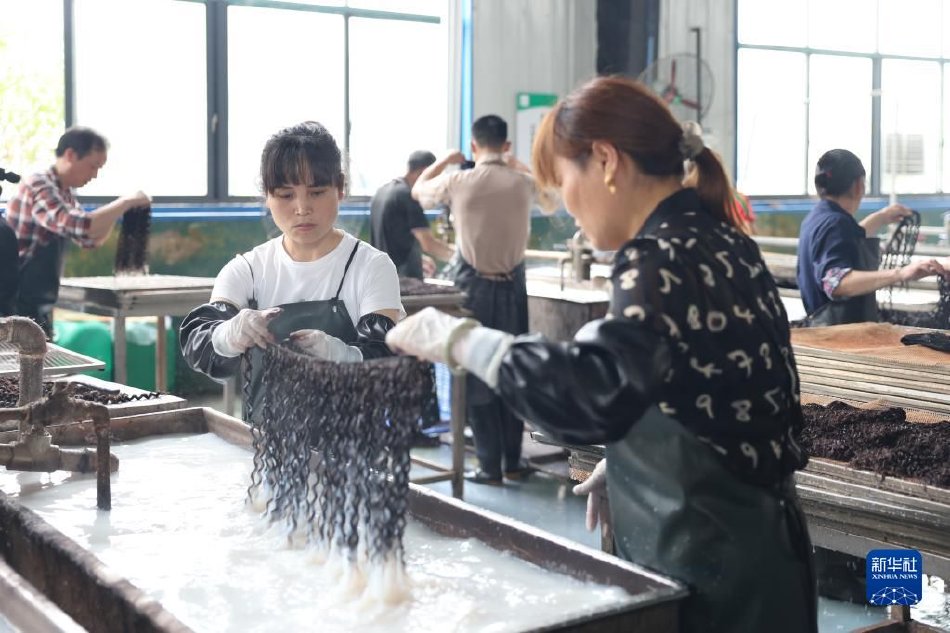 黄色网站免播放器在线视频在线碰视频