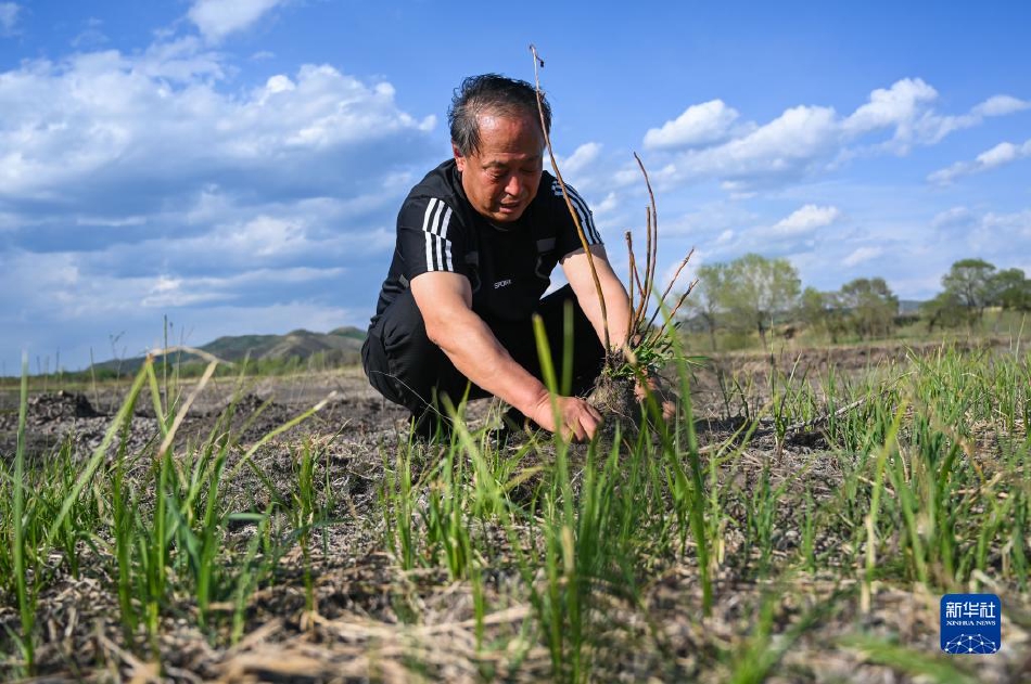 苍井空被躁45分钟无码流出