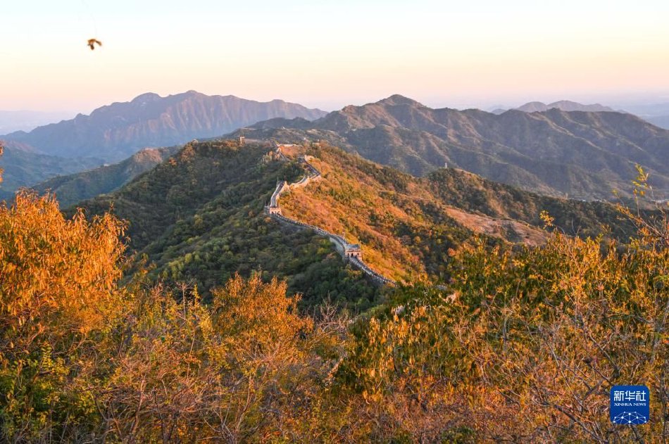 白丝魅魔玉足夹住榨精