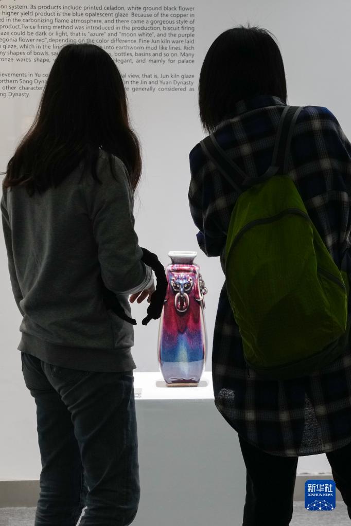 国内精品久久久久久久星