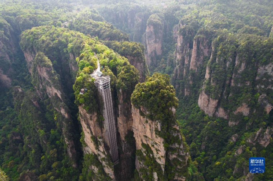 免费 性爱 大片