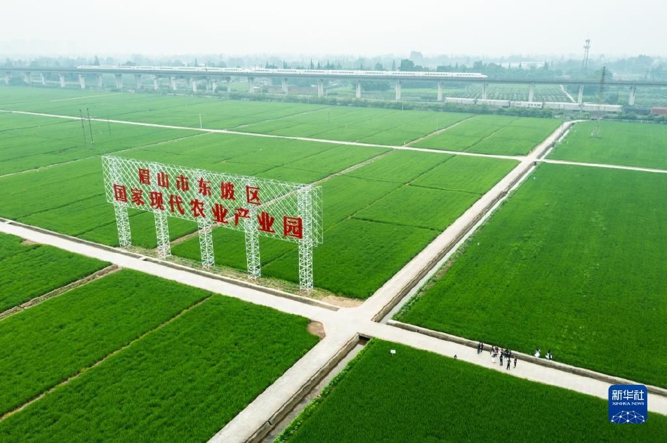 3p经历