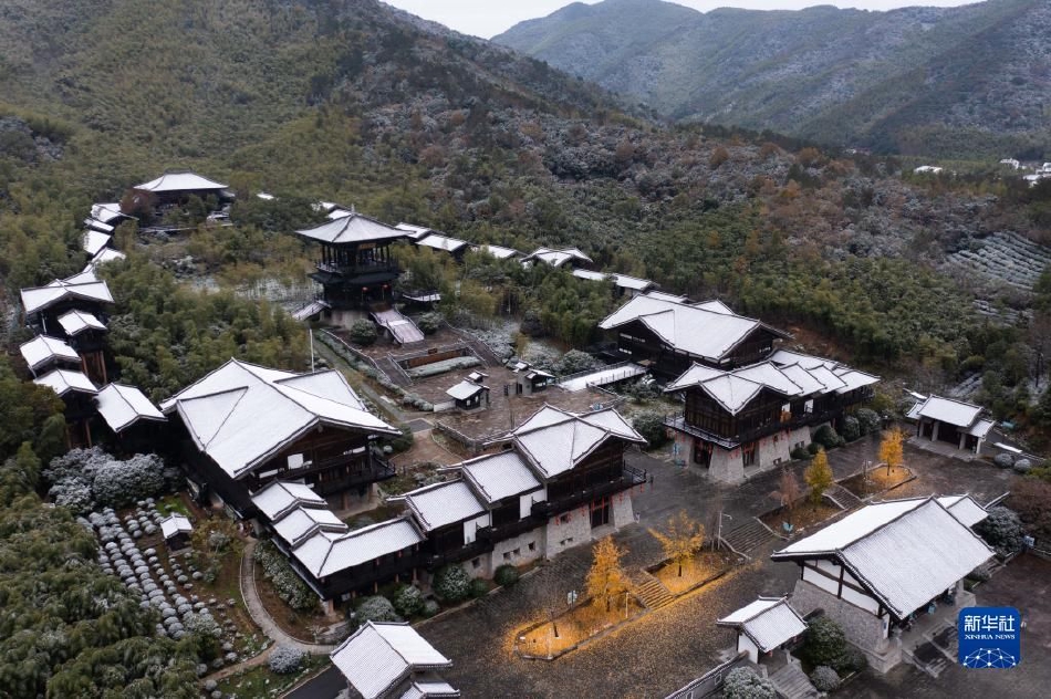免费无码黄色网站
