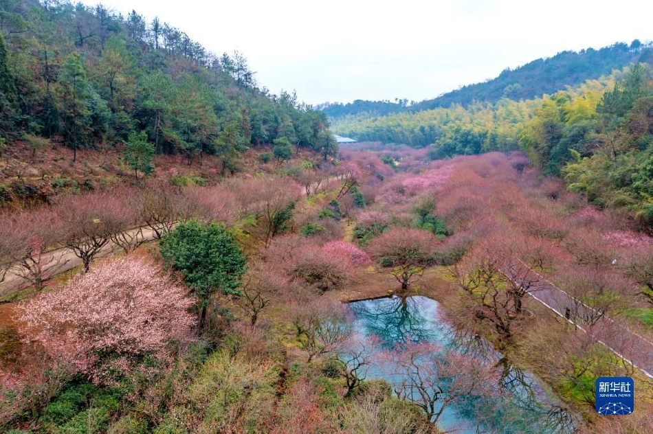 日本痴漢
