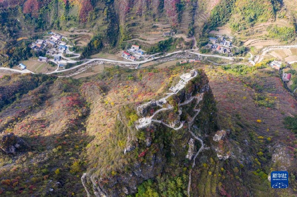 色情 免费 网