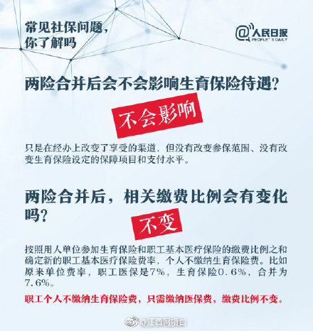 能看的黄色视频网站