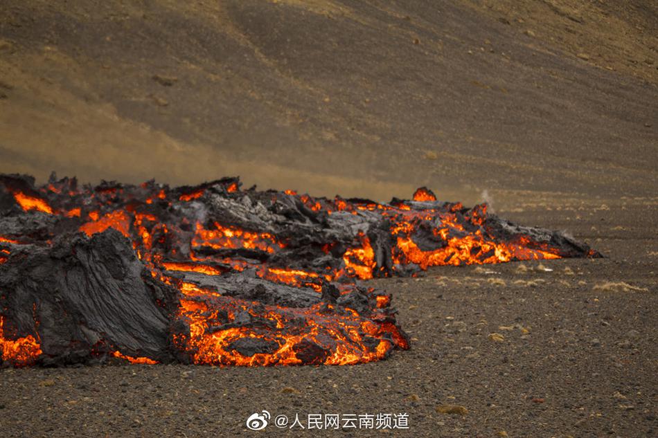 早報：法布雷加斯宣布退役；布羅佐維奇將加盟利雅得勝利