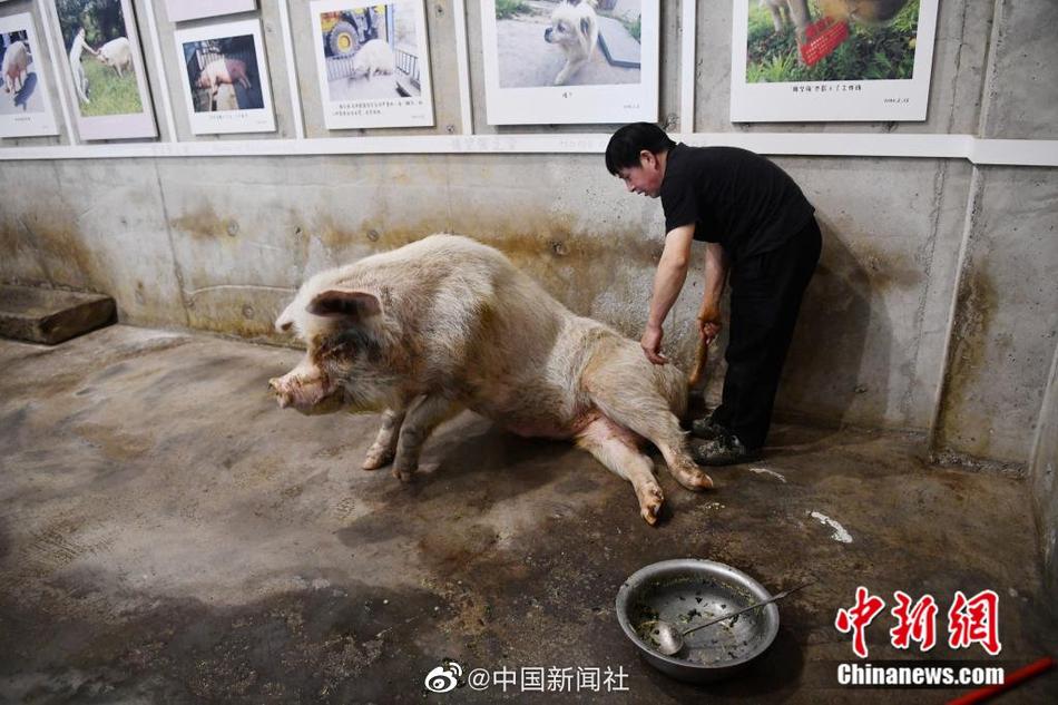 欧美日本性爱网址