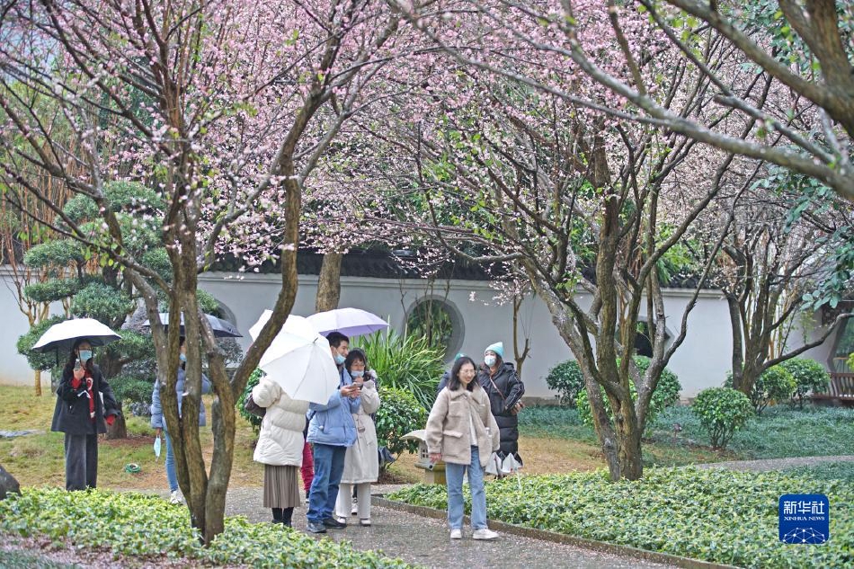 玩人妻偷情