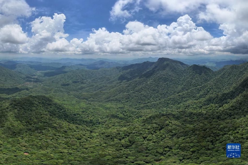 葉山瞳