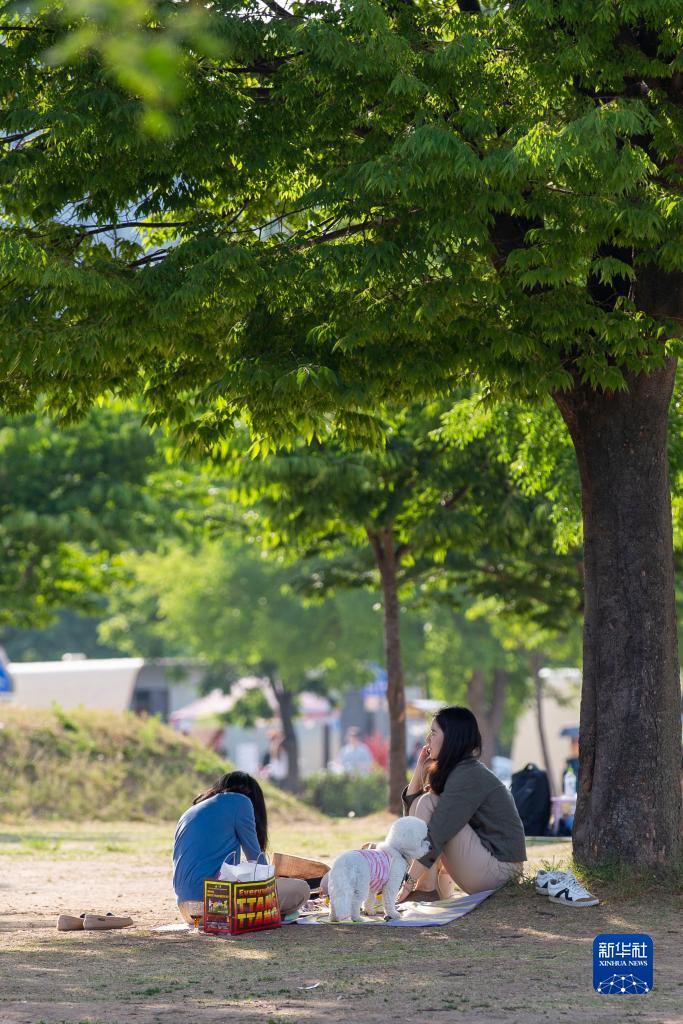 天天干天天日天天操
