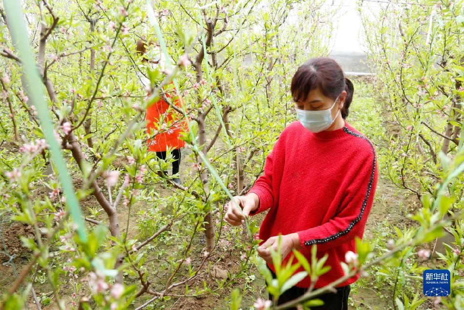 黄色网站浏览免费