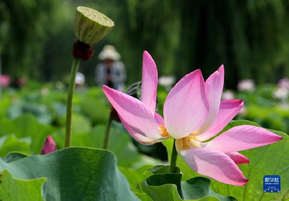 老师脱 让学生摸 欧美
