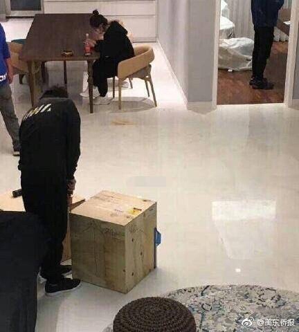 张柏芝下面毛粗毛多