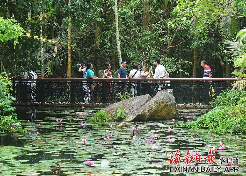 缅北在线观看www网站入口