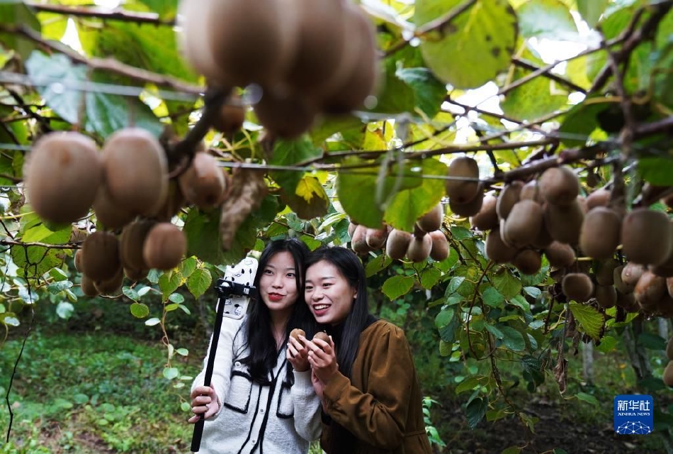 女人又爽 又黄 打屁股