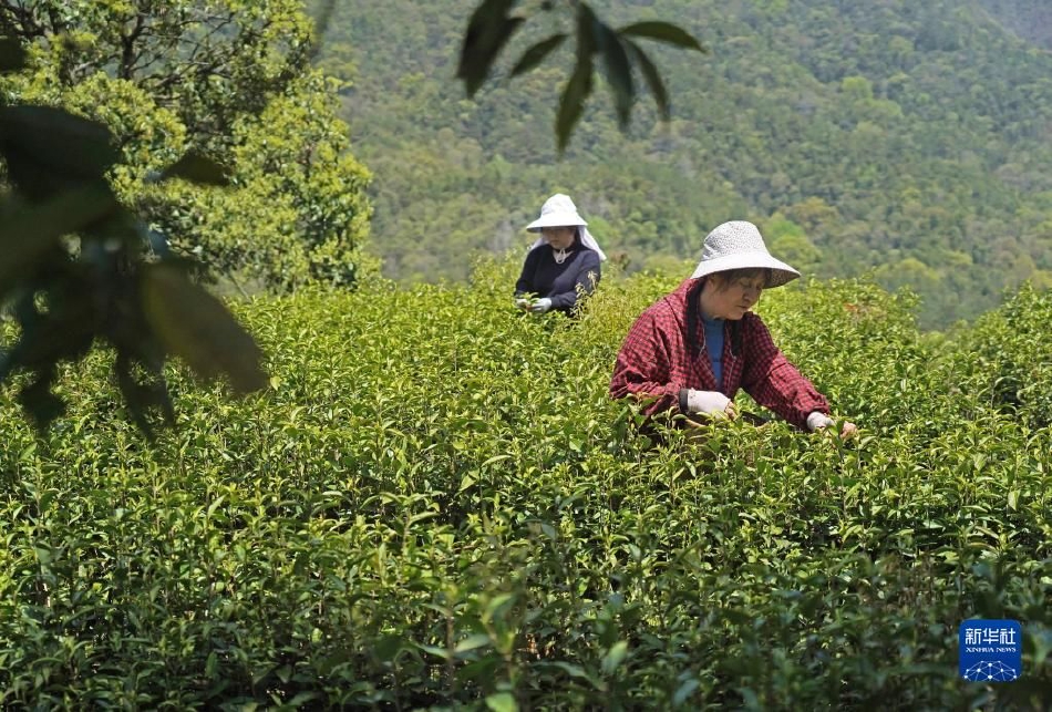 黄色大片狗操女人逼