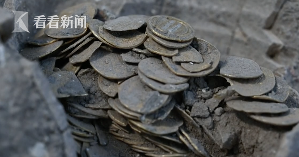 把腿张开老子臊烂你的sb